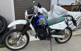SUZUKI DJEBEL250XC SJ45A
