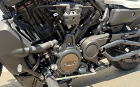 HARLEY  HARLEY RH1250S 2022 ZC4