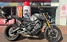 YAMAHA MT-09 2014 RN34J