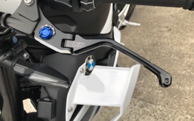 BMW M1000R 2024 0E81
