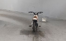 HONDA QR50 AE01