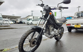 YAMAHA TORITSU CAR DG10J