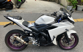 YAMAHA YZF-R25 RG10J