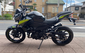 KAWASAKI Z250 EX250P