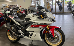 YAMAHA YZF-R25 RG74J