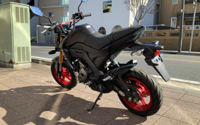 KAWASAKI Z125 PRO BR125H