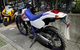YAMAHA TT250R 4GY