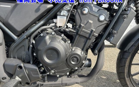 OTHER CL500