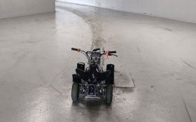 OTHER  BUGGY 50CC ..