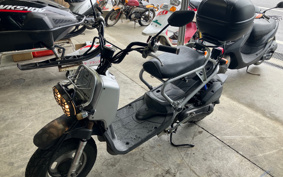HONDA ZUMAR AF58