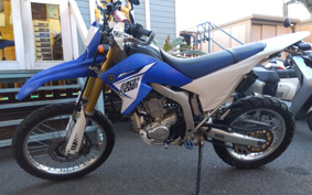 YAMAHA WR250R DG15J