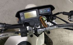 KAWASAKI SUPER SHERPA KL250G