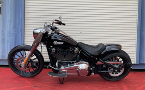 HARLEY  HARLEY FLFBS 2022 YGK