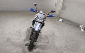 KAWASAKI D-TRACKERX LX250V
