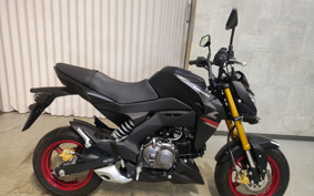 KAWASAKI Z125 PRO BR125H