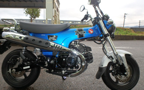 HONDA  DUX 125 JB04
