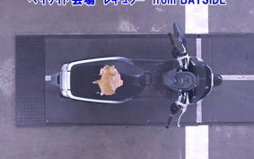 HONDA DUNK