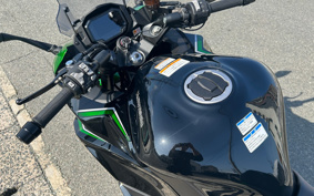 KAWASAKI NINJA 1000 SX 2024 ZXT02K