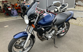 YAMAHA ZEAL 3YX