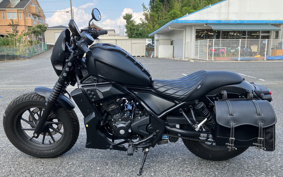 HONDA  REBEL 250 ABS MC49